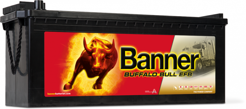 Buffalo Bull EFB 650 17