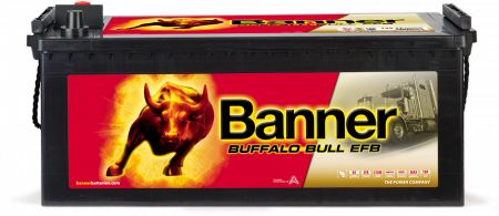 Buffalo Bull EFB