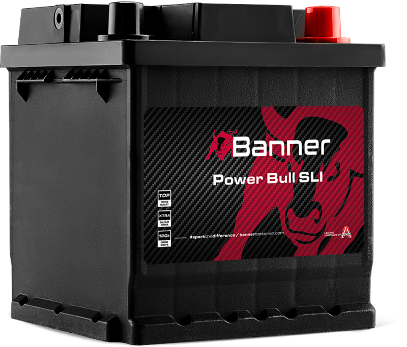 Banner Power Bull P42 08