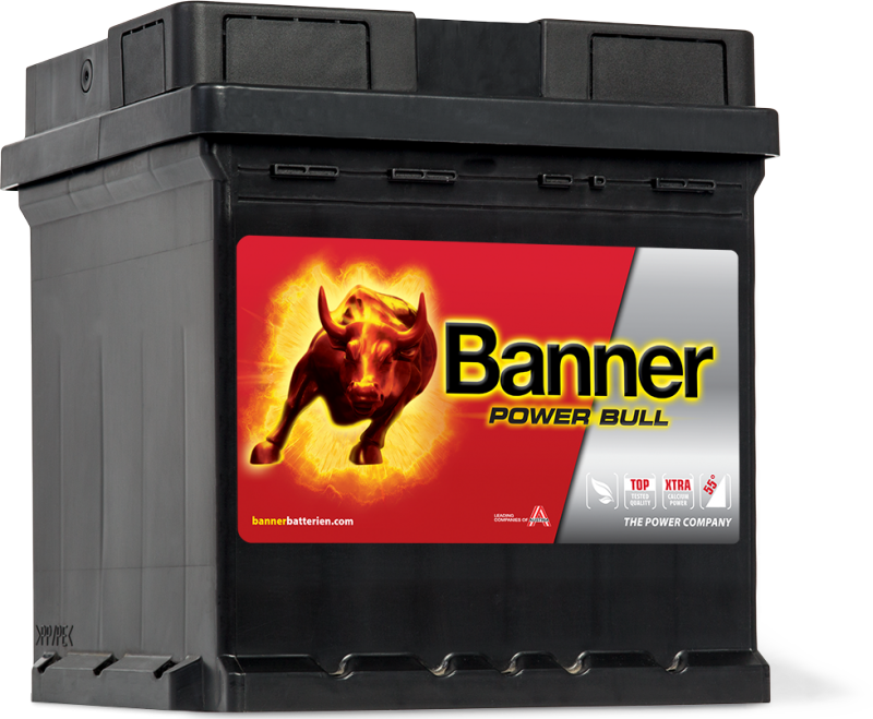 Banner Power Bull P42 08