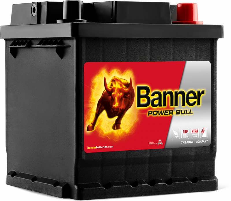 Banner Power Bull P42 08