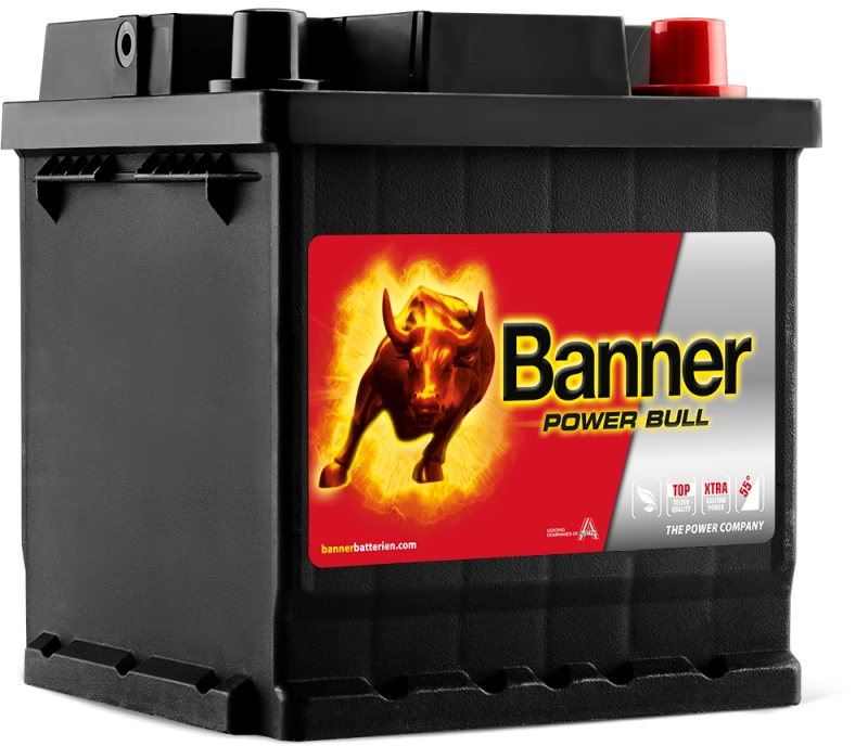 Banner POWER BULL 95Ah Autobatterie 