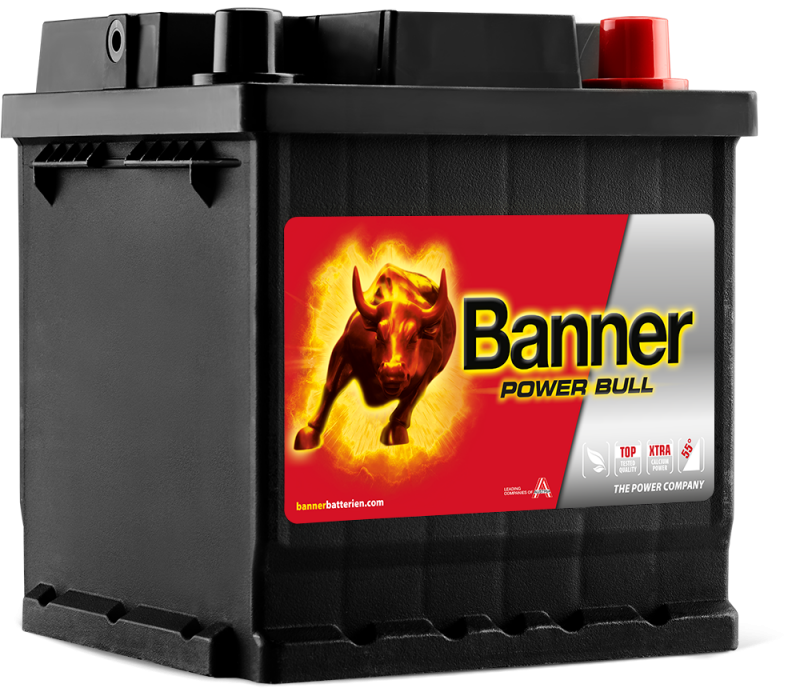 Banner Power Bull P42 08