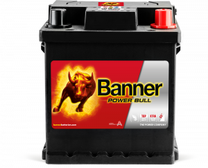 Banner Power Bull P42 08