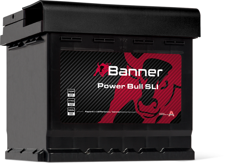 Banner Power Bull P44 09
