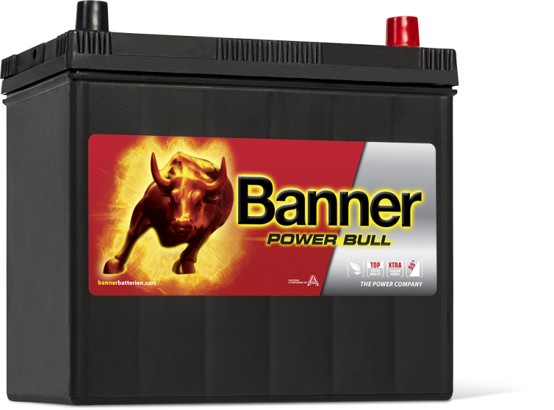 Banner Power Bull P45 23 ASIA