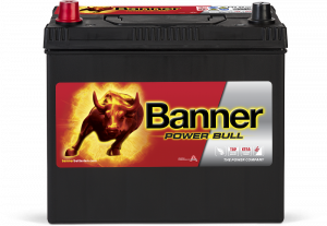 Banner Power Bull P45 24 ASIA
