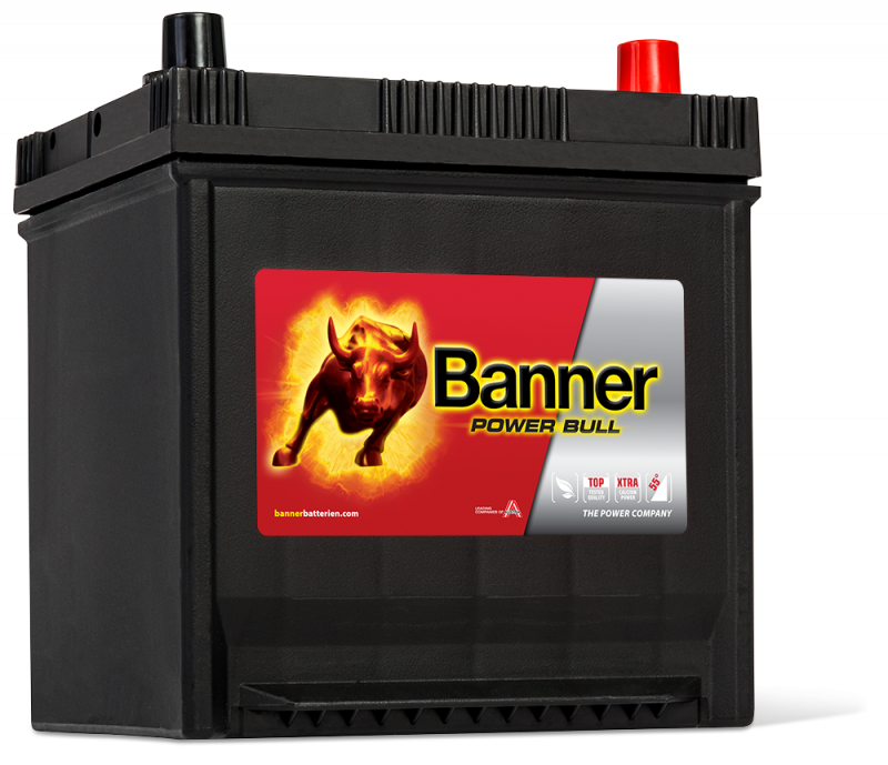 Banner Power Bull P50 41 ASIA