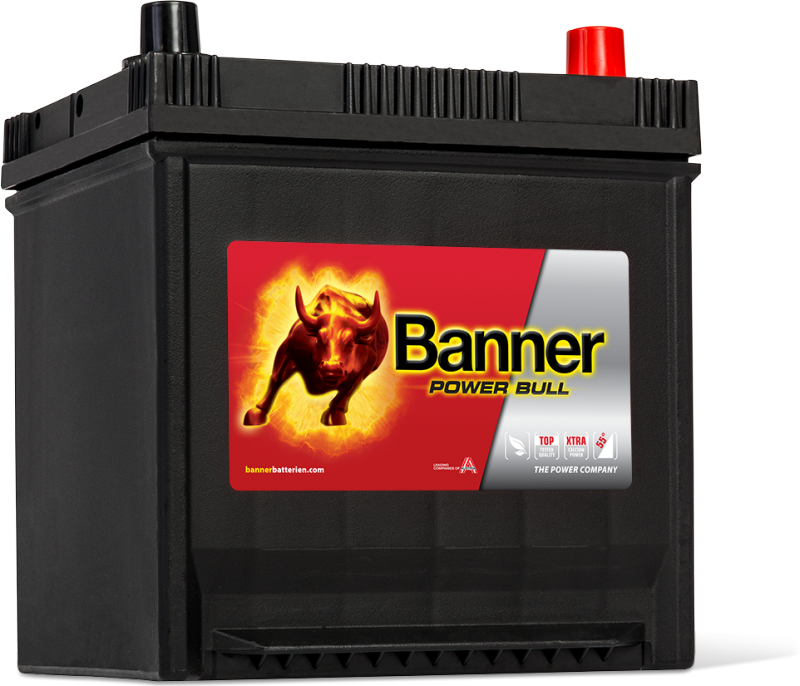 Banner Power Bull P50 41 ASIA