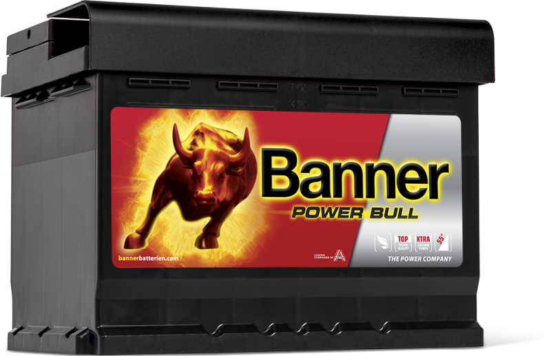 Banner Power Bull P60 09