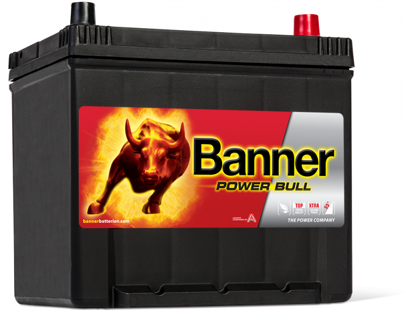 Banner Power Bull P60 62 ASIA