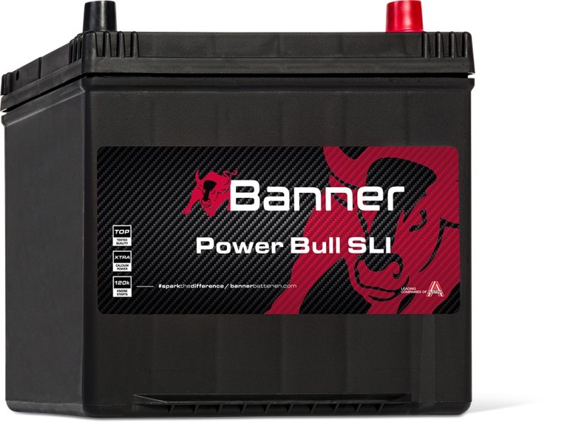 Banner Power Bull P60 68 ASIA