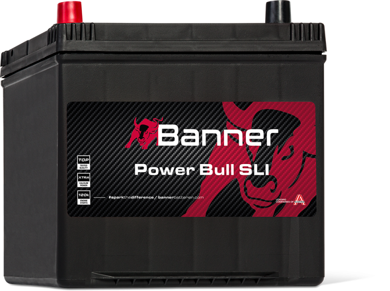 Banner Power Bull P60 69 ASIA