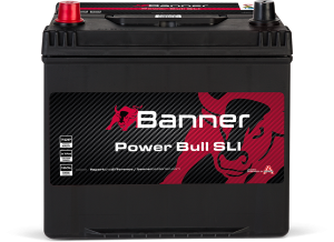 Banner Power Bull P60 69 ASIA