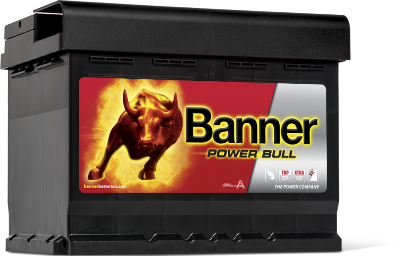 Banner Power Bull P62 19