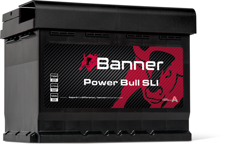Banner Power Bull P62 19