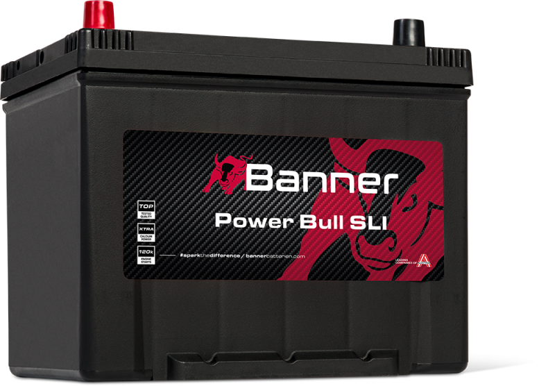 Banner Power Bull P70 24 ASIA