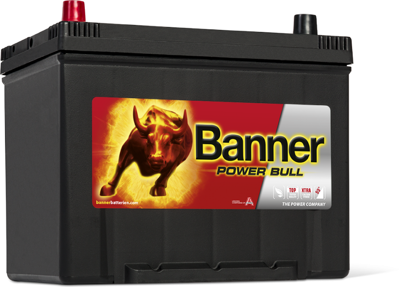 Banner Power Bull P70 24 ASIA