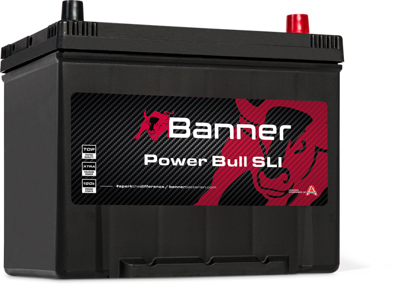 Banner Power Bull P70 29 ASIA