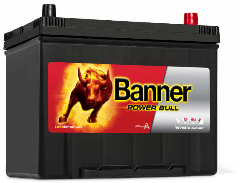 Banner Power Bull P70 29 ASIA