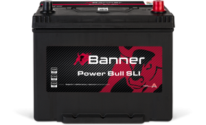 Banner Power Bull P70 29 ASIA