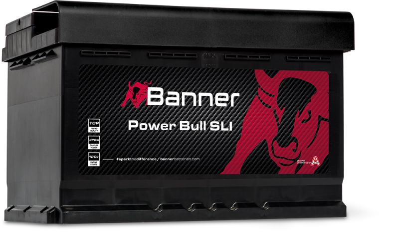 Banner Power Bull P74 12