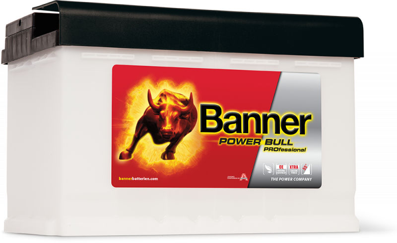 Banner Power Bull PRO P77 40