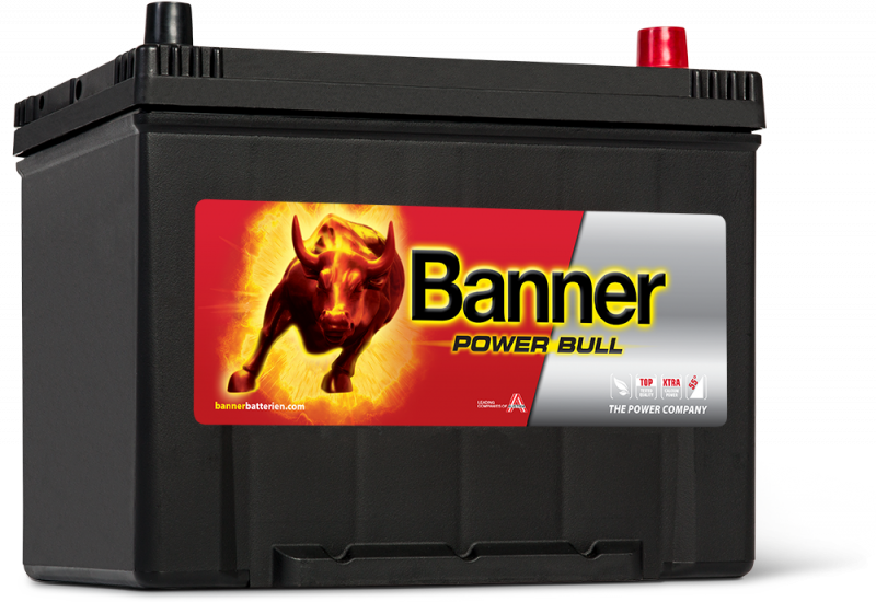 Banner Power Bull P80 09 ASIA