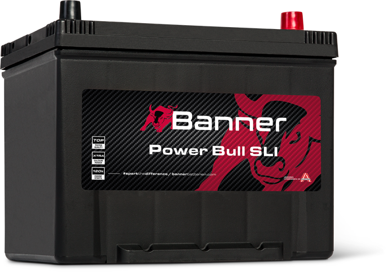 Banner Power Bull P80 09 ASIA