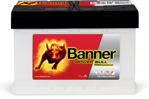 Banner Power Bull PRO P84 40