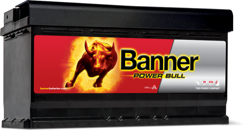 Banner Power Bull P88 20