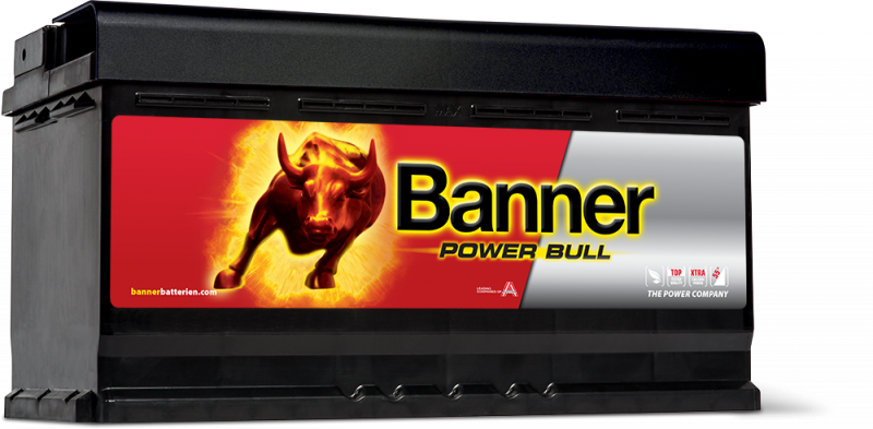 Banner Power Bull P95 33