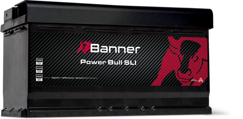 Banner Power Bull P95 33