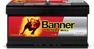 Banner Power Bull P95 33