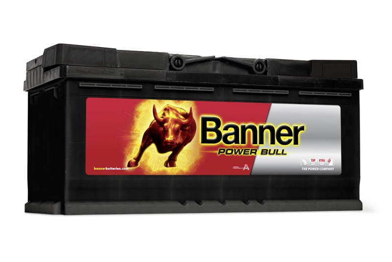 Banner Power Bull Professional P100 40 Starterbatterie 100Ah 12V