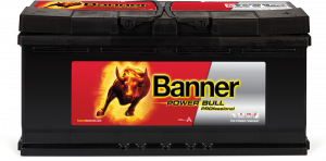 Power Bull PRO P100 40