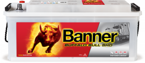 Banner Buffalo Bull SHD 635 44