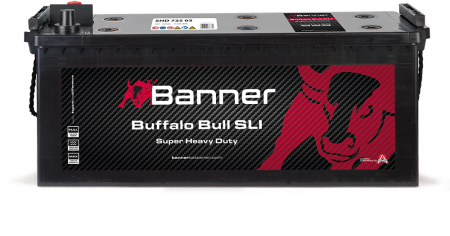 Buffalo Bull SHD