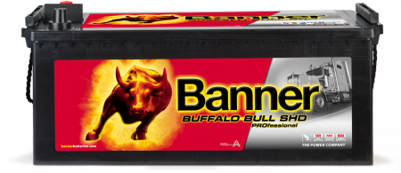 Buffalo Bull SHD