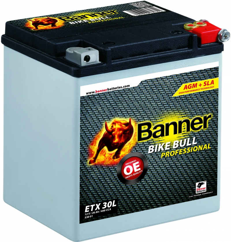 Motorradbatterien,motorcrossbatterien,atv Batterien,quadbatterien,jetskibatterien,schneemobilbatterien, bike bull agm pro