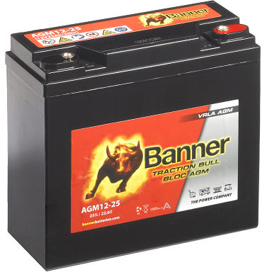 AGM 12V 25Ah VRLA