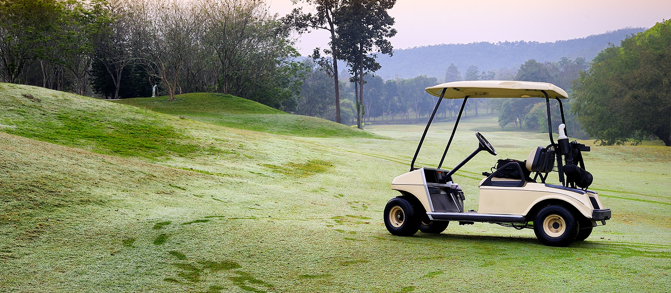 Traction Bull Bloc Batterien, Golfbatterien, AGM Batterien