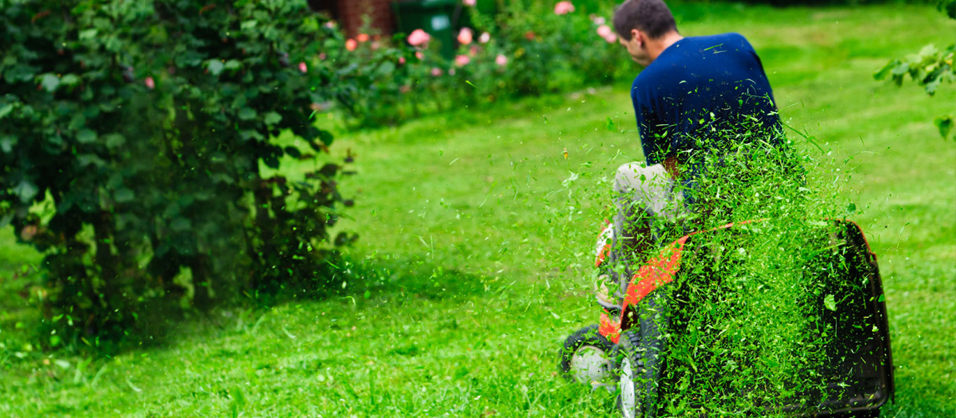 Aufsitzmäher, Rasentraktoren, Reitermäher, Garden Bull Batterien