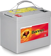 BANNER ENGINEERING Starterbatterien / Autobatterien - 012565110101